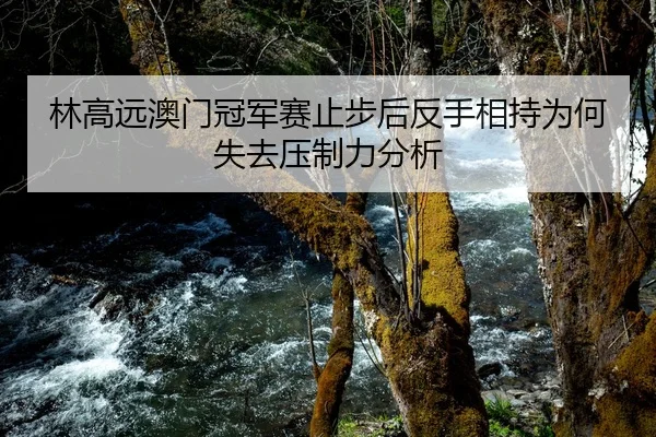林高远澳门冠军赛止步后反手相持为何失去压制力分析