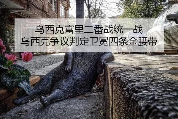 乌西克富里二番战统一战 乌西克争议判定卫冕四条金腰带